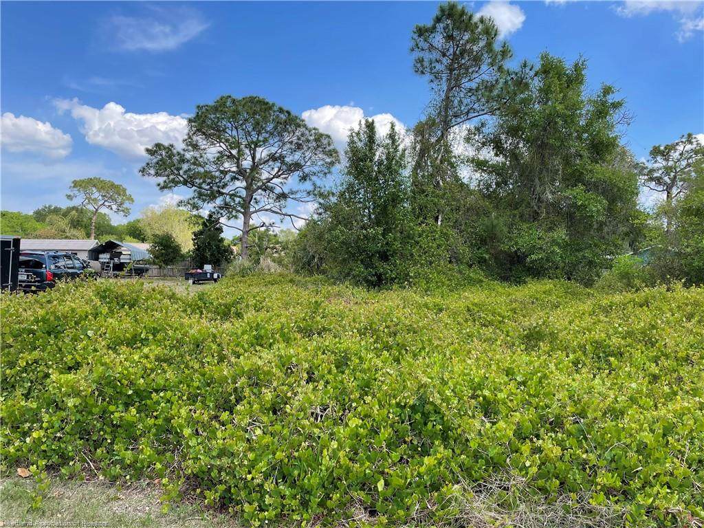 1012 Tea Rose Street - Photo 1