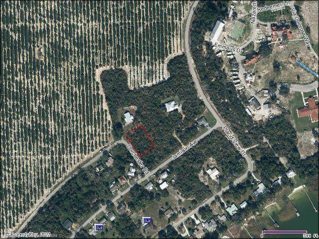 117 Dorchester Road - Photo 1
