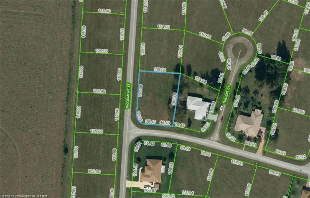 733 Woodmont Street - Photo 1