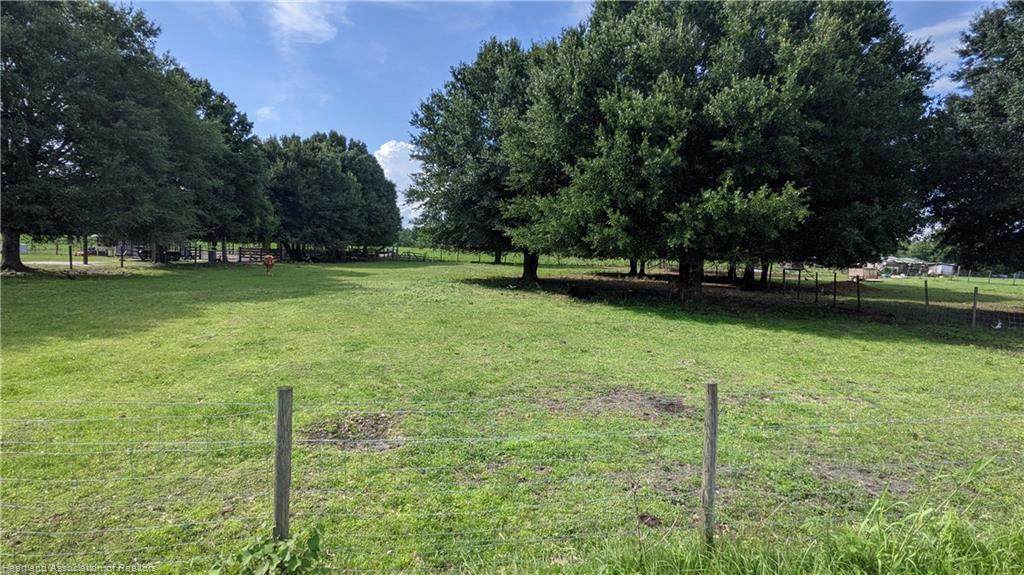 6293 State Road 64 Highway - Photo 1