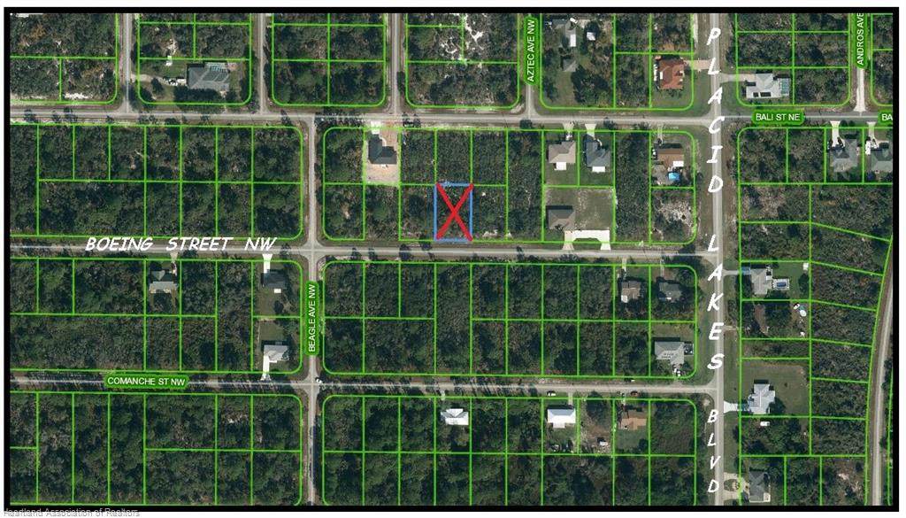 113 Boeing Street - Photo 1