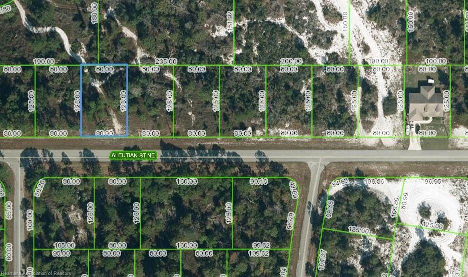 1328 Aleutian Street - Photo 1