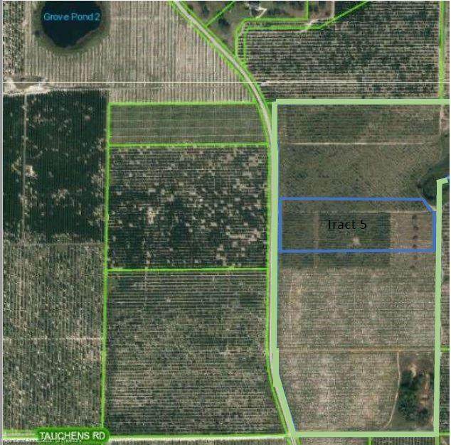 8860 County Road 17 Tract 5 - Photo 1