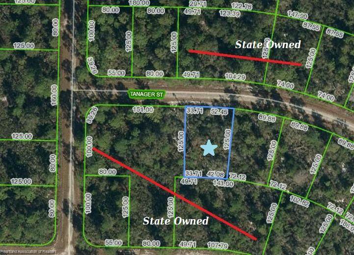 1138 Tanager Street - Photo 1