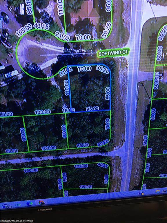 10197 Orange Blossom Boulevard - Photo 1