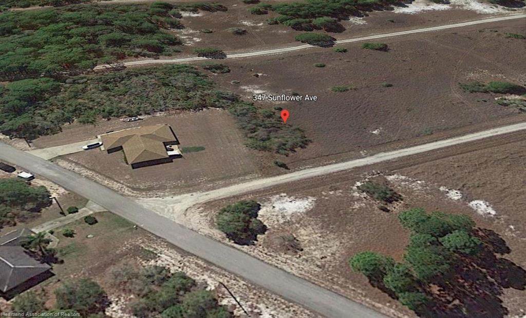 347 Sunflower Avenue - Photo 1