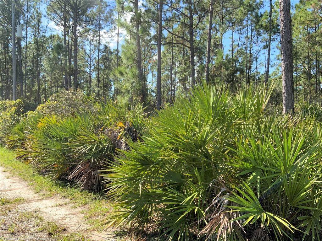 274 Adams Road - Photo 1