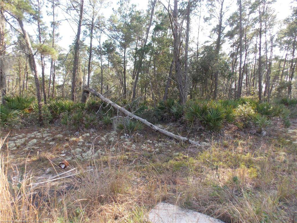 473 Hummingbird Avenue - Photo 1