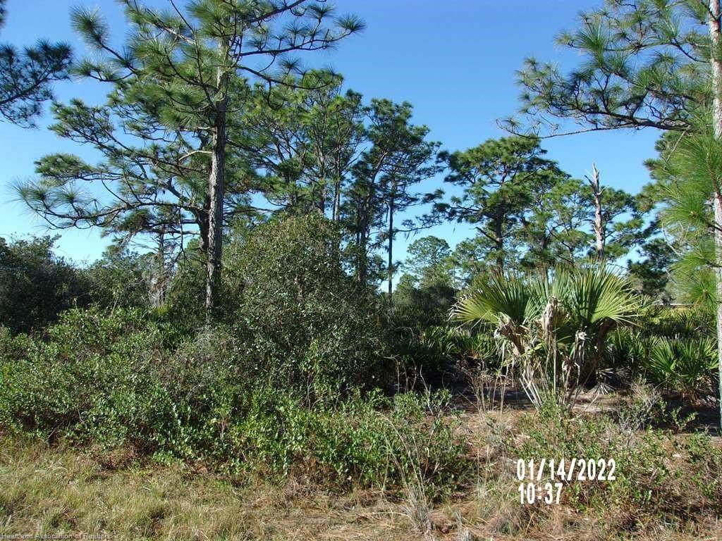 237 Wildcat Street - Photo 1