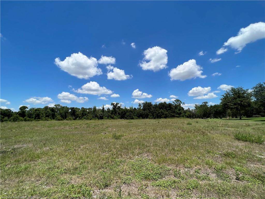 2069 Jack Creek Drive - Photo 1