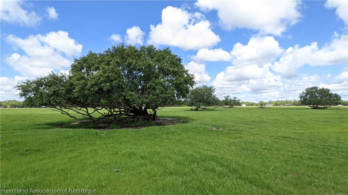 5180 Butler Road - Photo 1