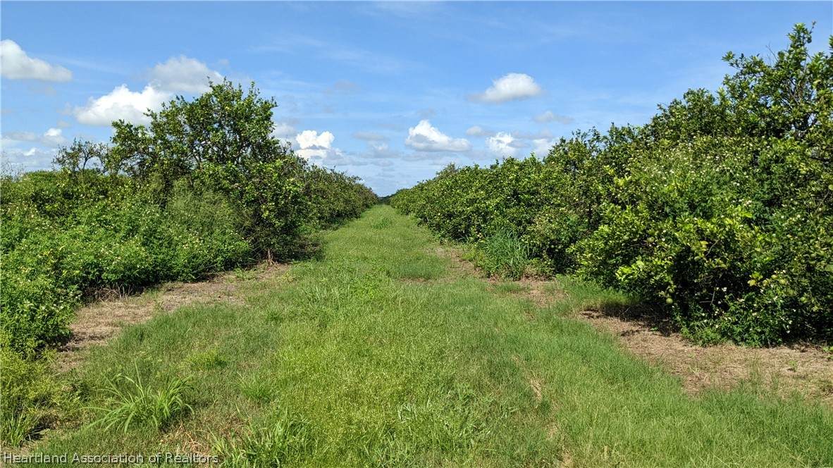 Crewsville Road - Photo 1