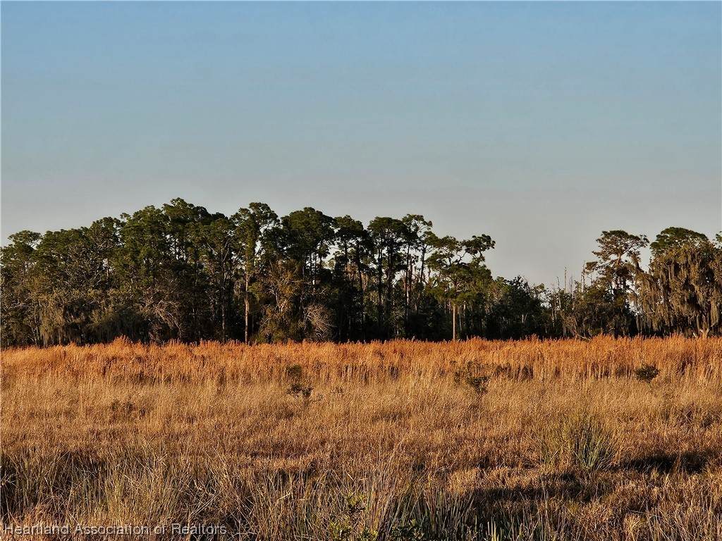 1000 Platt Creek Road - Photo 1
