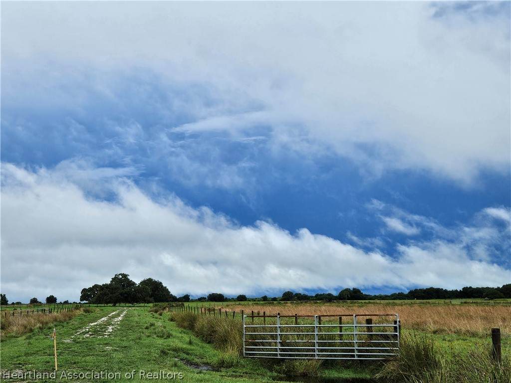 1013 Cattle Ranch Road - Photo 1