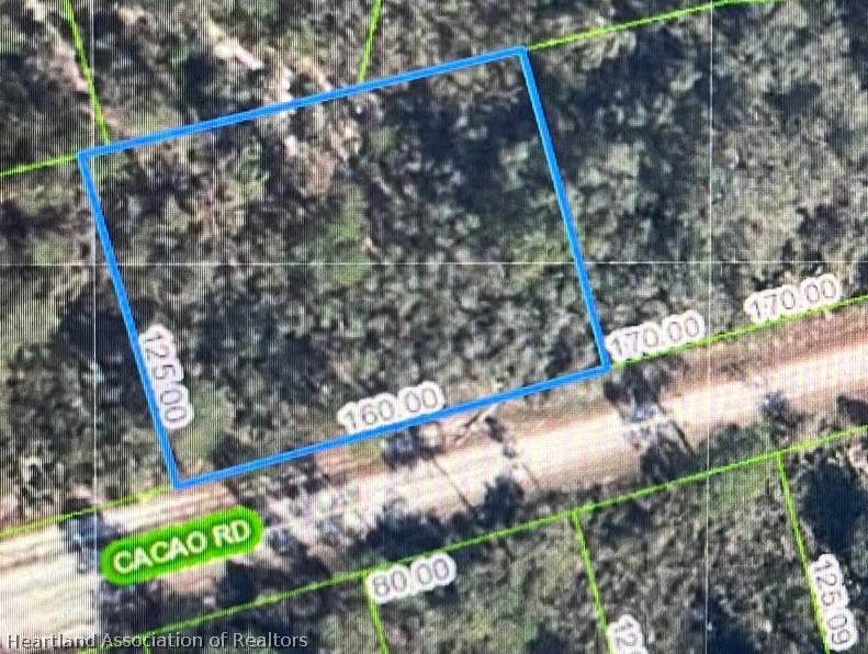 3041 Cacao Road - Photo 1