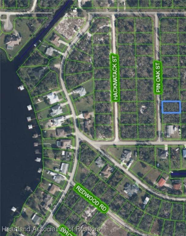 1049 Pin Oak Street - Photo 1