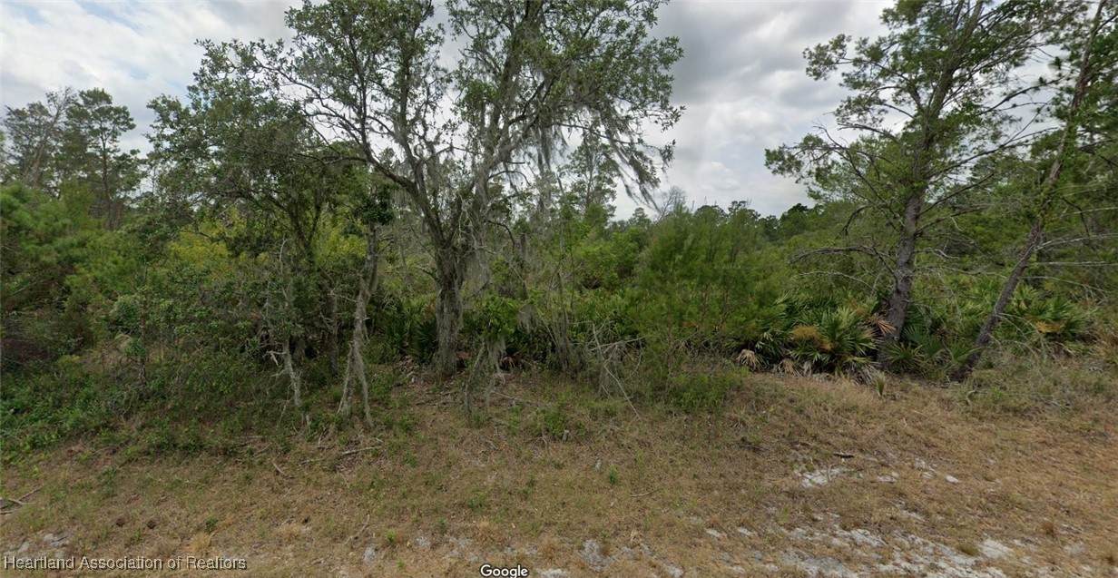 8005 Campo Sano Street - Photo 1