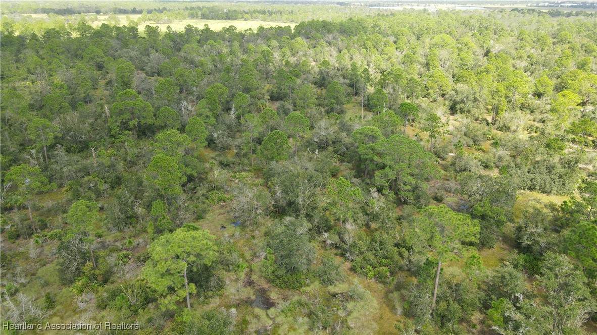 1000 Sr-66 Road - Photo 1