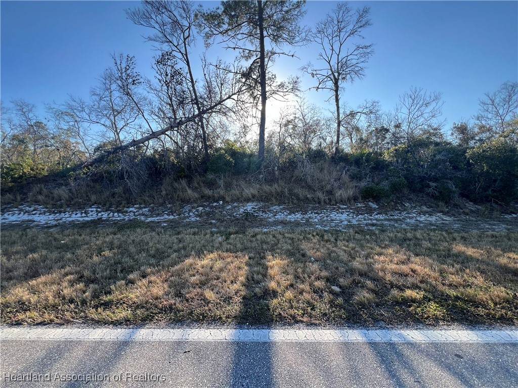 1001 & 1003 County Road 29 Highway - Photo 1