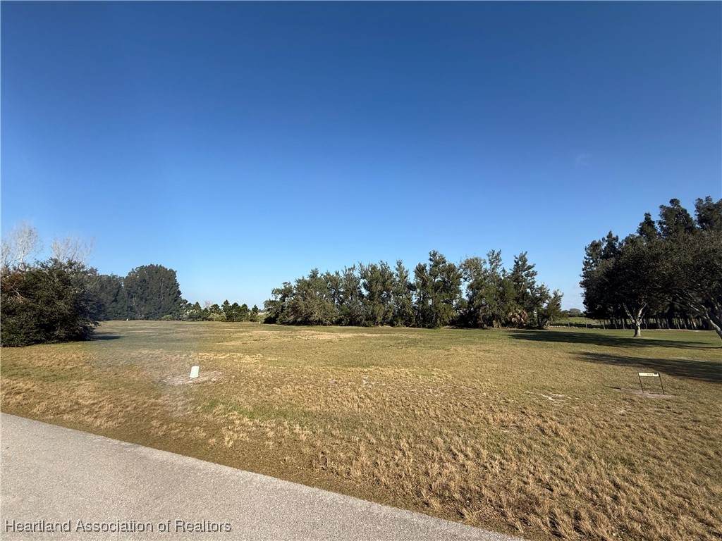 8317 Castile Road - Photo 1