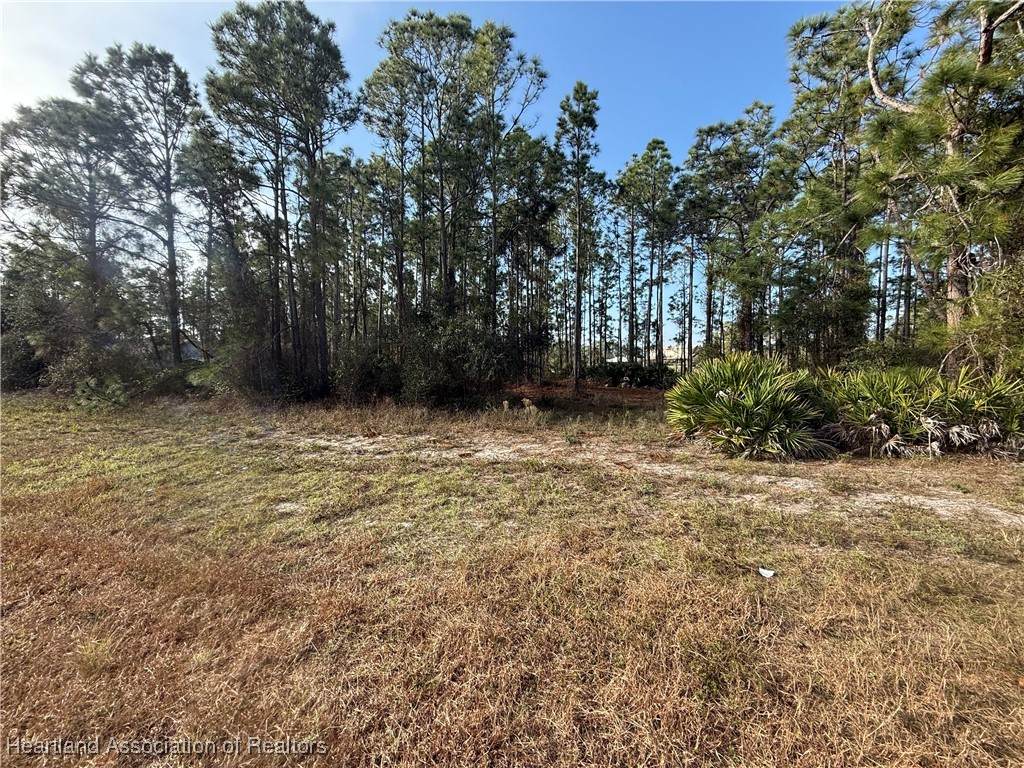662 Wildflower Street - Photo 1