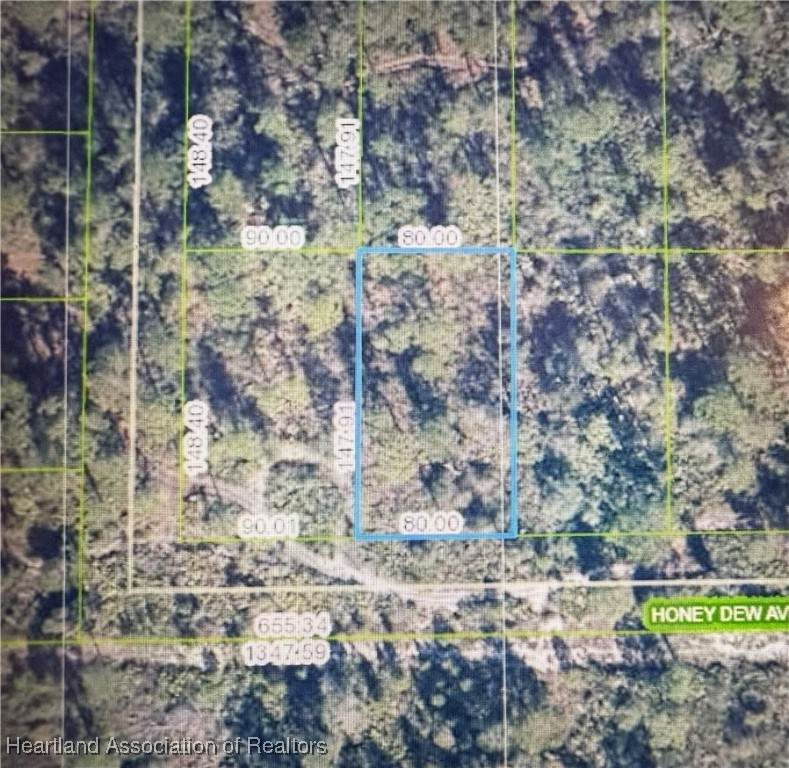 2336 Honey Dew Avenue - Photo 1