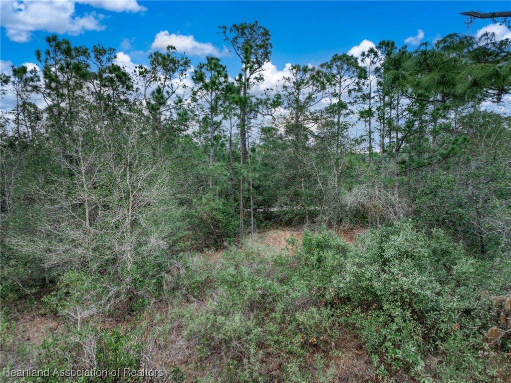 1013 Hyacinth Avenue - Photo 1