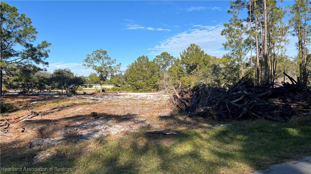 1028 Mimosa Street - Photo 1