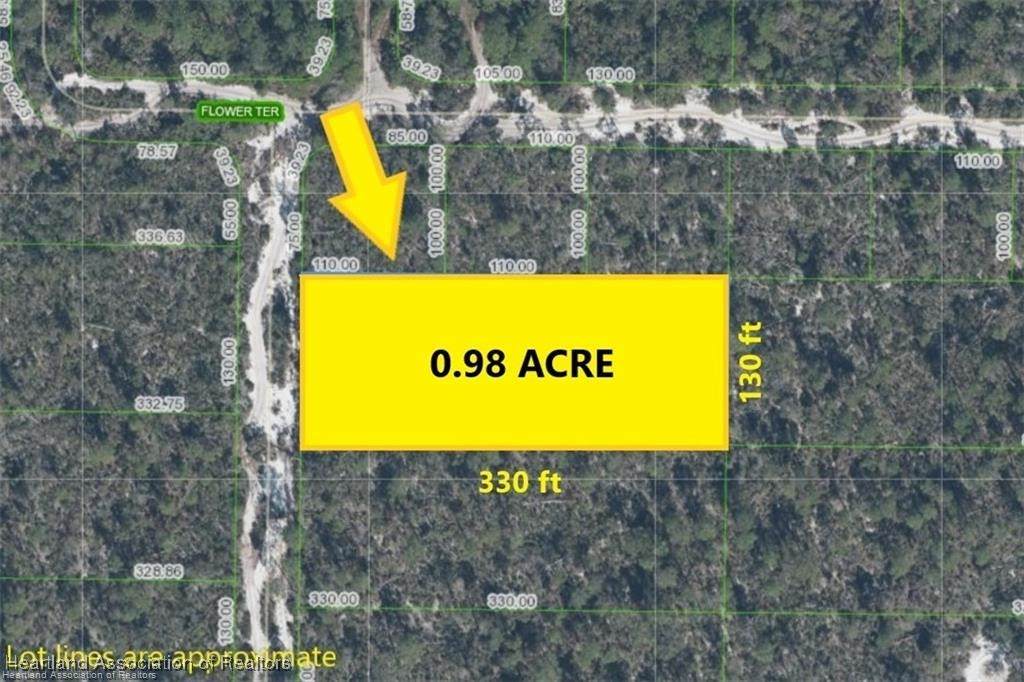 5306 Cucumber Street - Photo 1