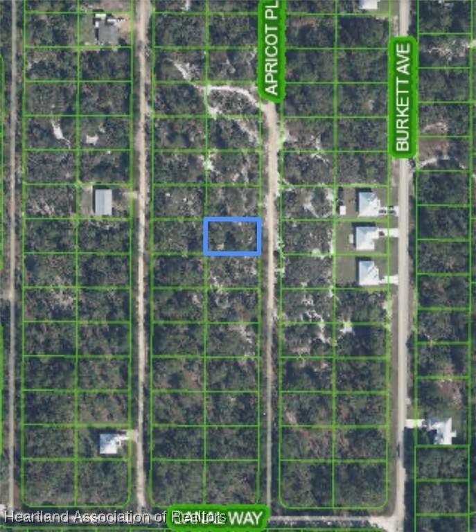 6711 Apricot Place - Photo 1