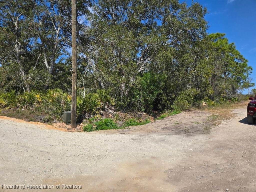 1260 Mango Street - Photo 1