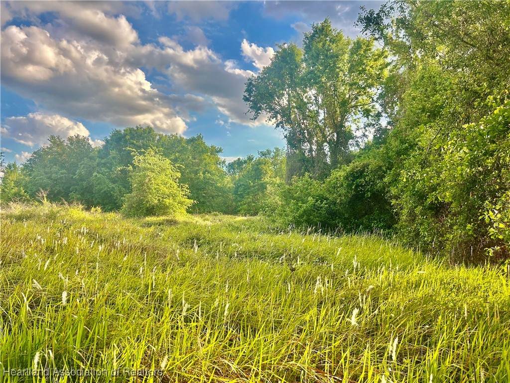 1291 Manley Road - Photo 1