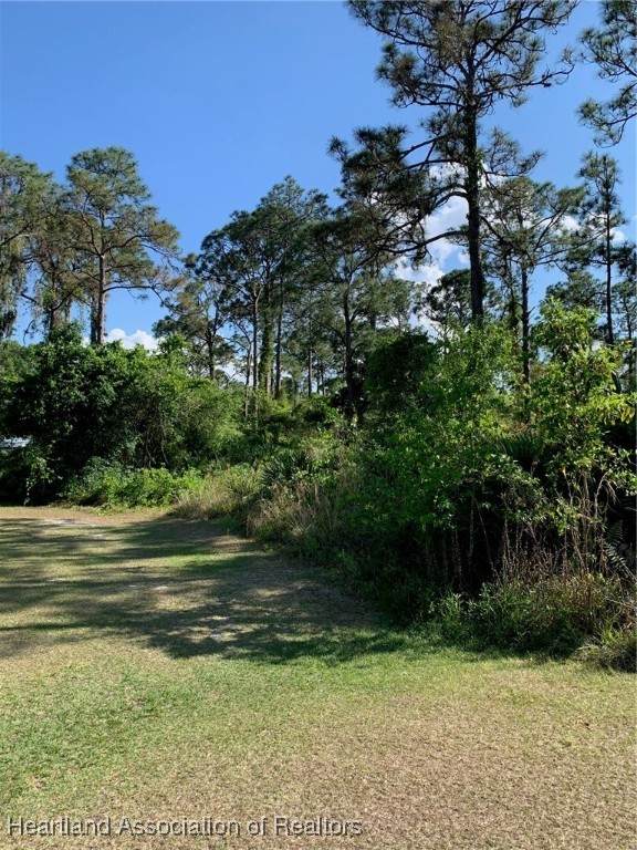 1017 Dearing Street - Photo 1