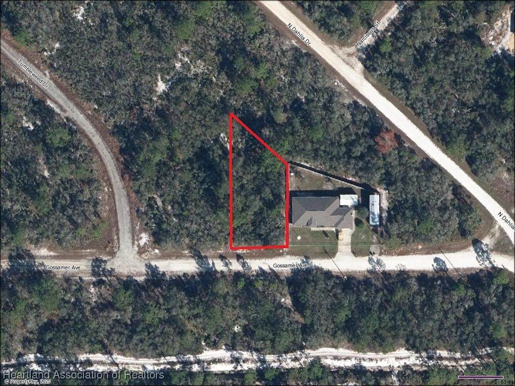 3215 Gossamer Avenue - Photo 1