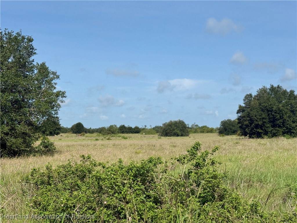 63 Joyner Road - Photo 1