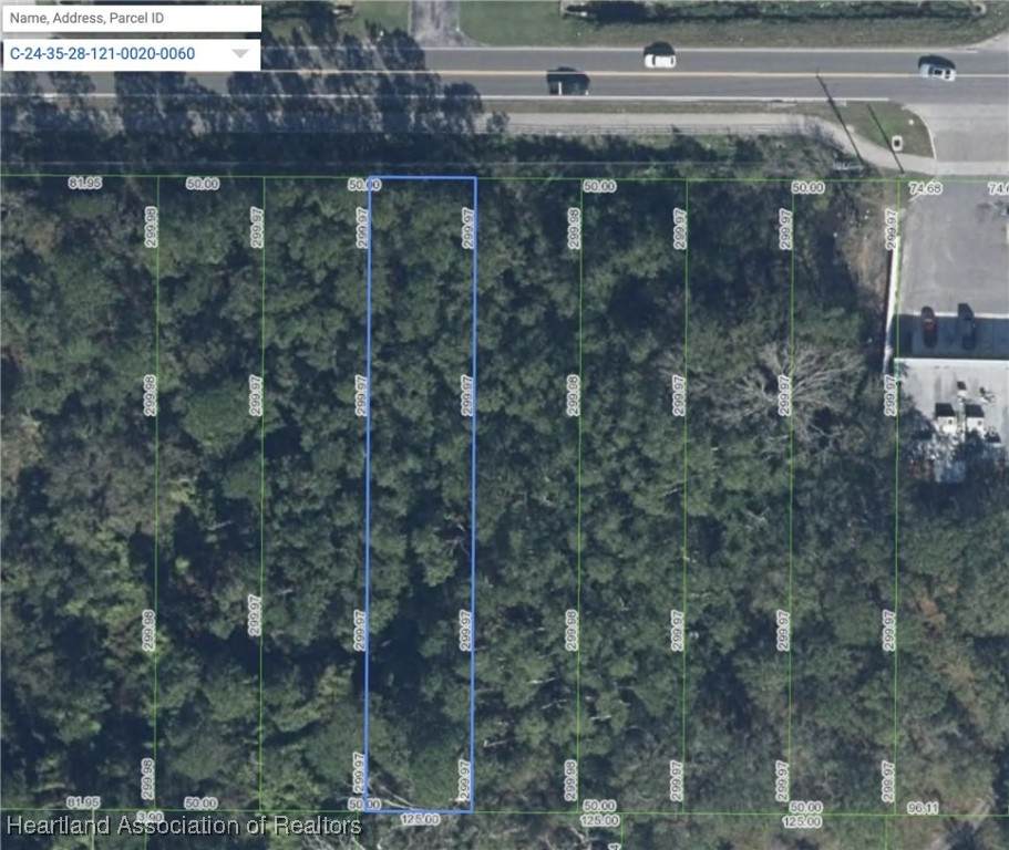 2211 Hammock Road - Photo 1