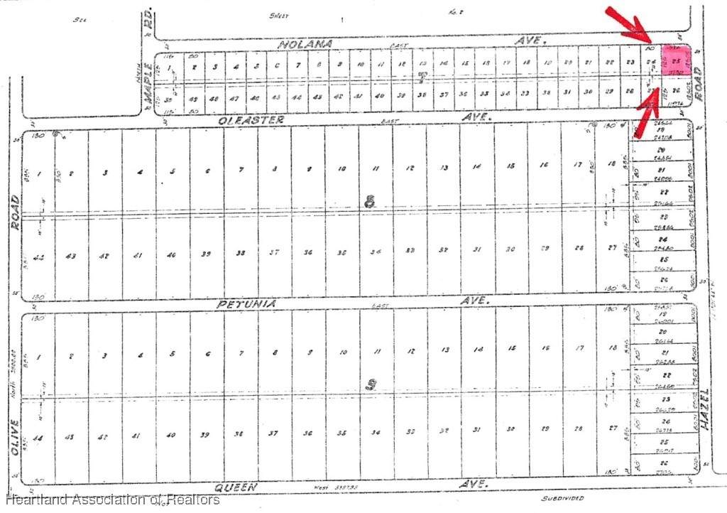 1601 Nolana Avenue - Photo 1