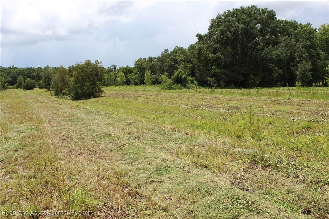 0 Terrell Road - Photo 1