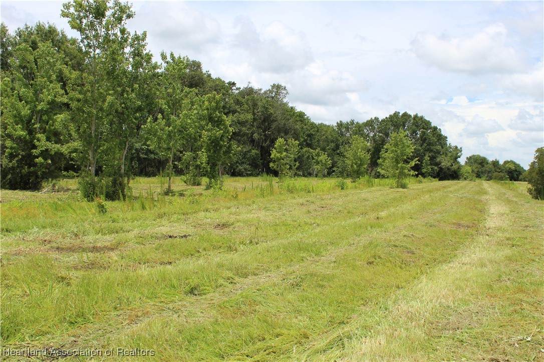 0 Terrell Road - Photo 1