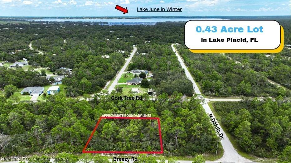929 Breezy Road - Photo 1