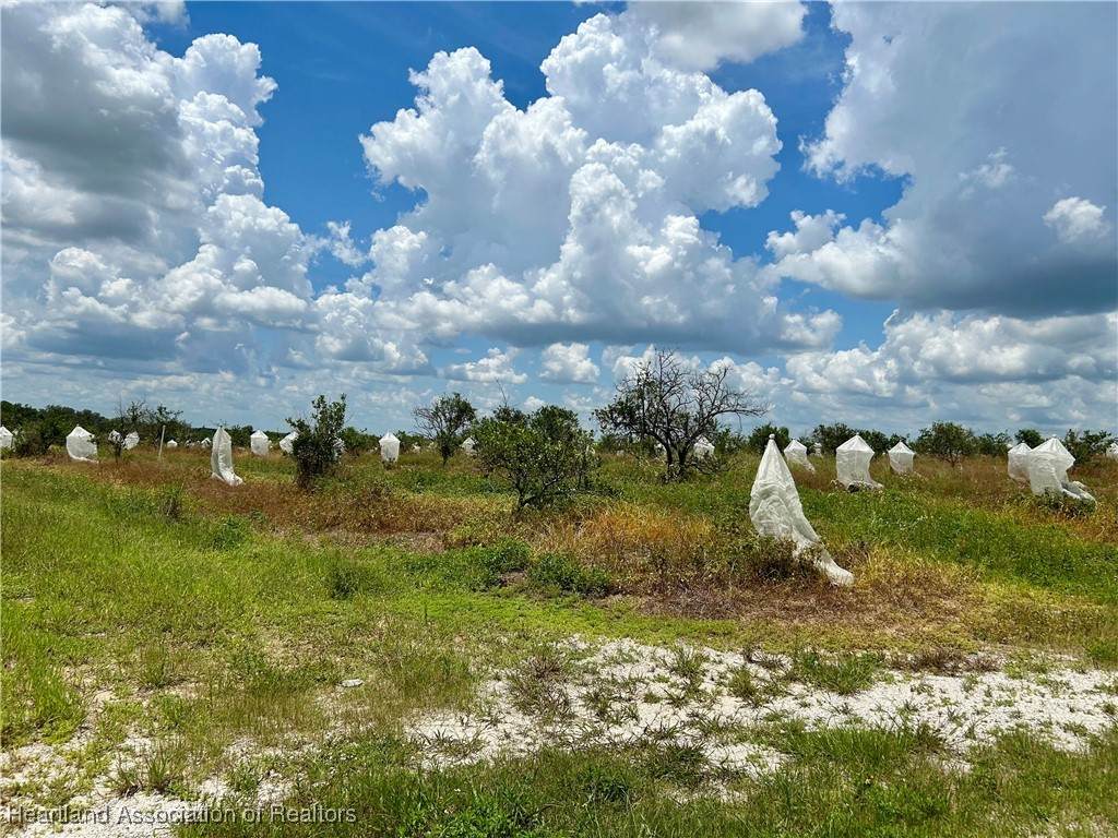 2600 Oak Island Road - Photo 1