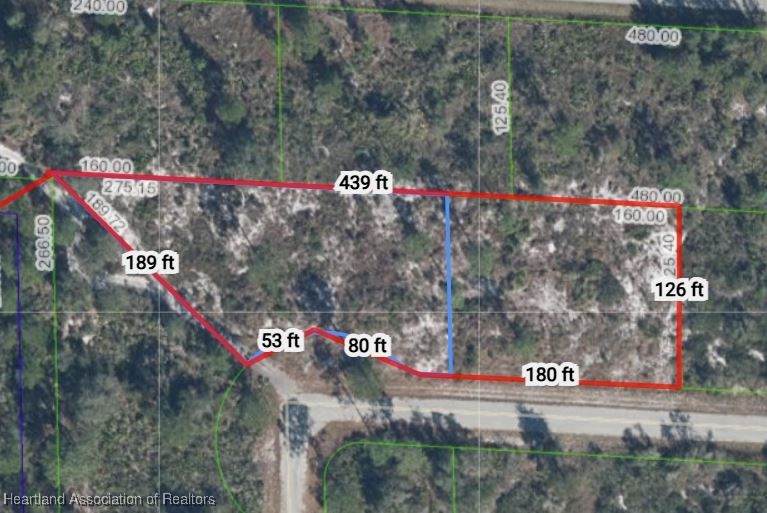 Sandhill Crane Avenue - Photo 1