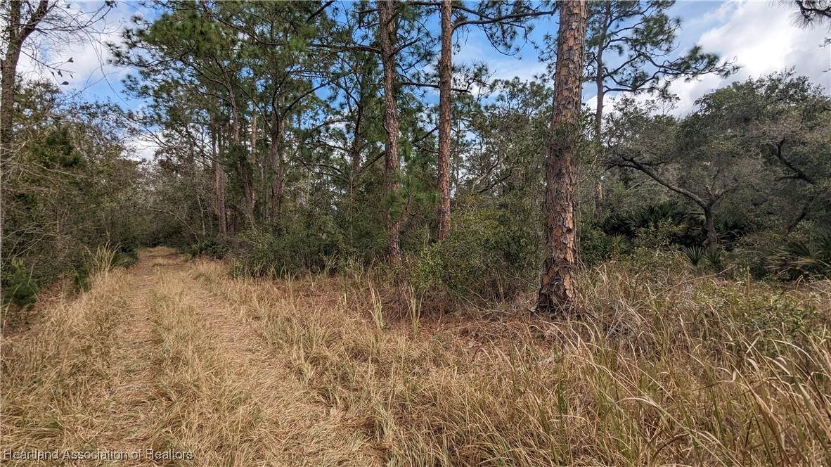 6810 Wisteria Place - Photo 1