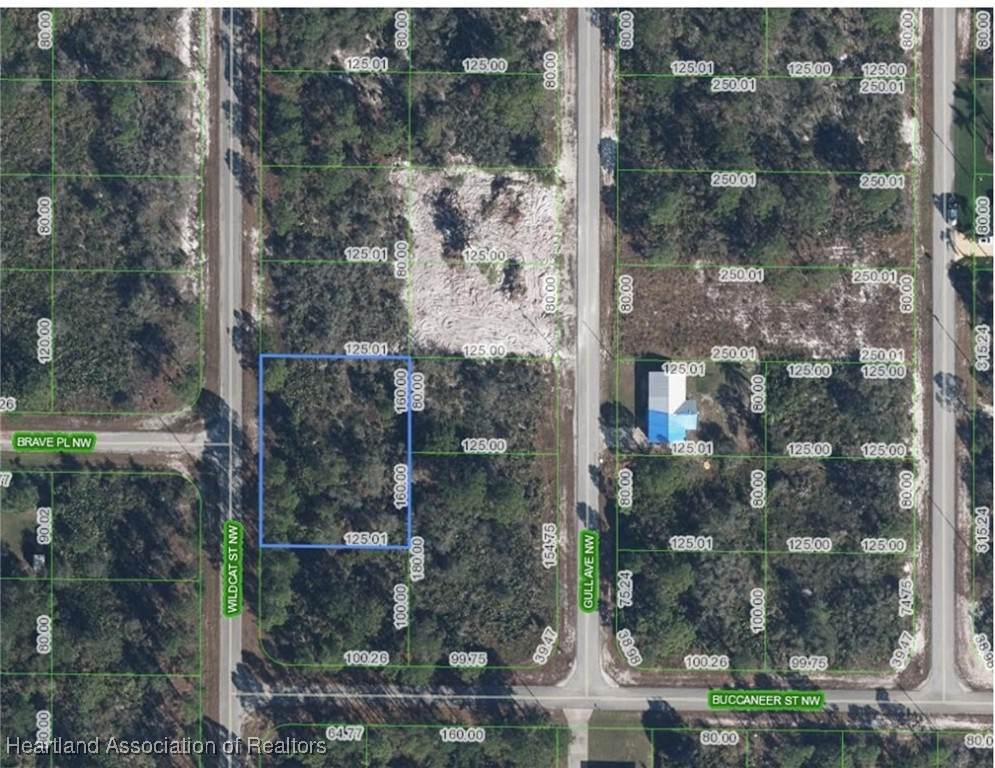 118 Wildcat Street - Photo 1