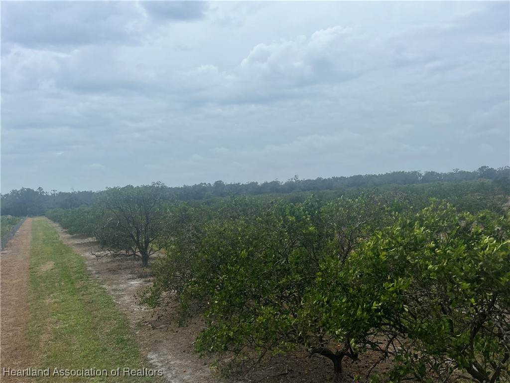 3115 Round House Drive - Photo 1