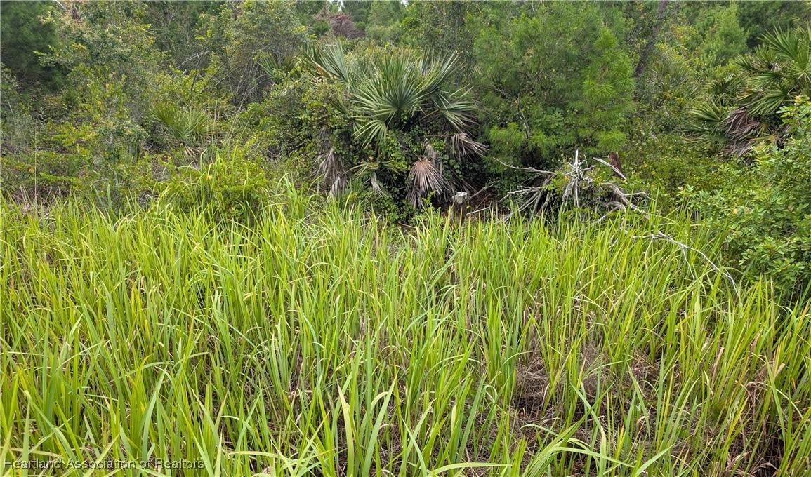 2939 Seville Drive - Photo 1