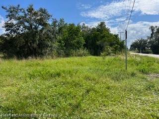 715 Young Avenue - Photo 1