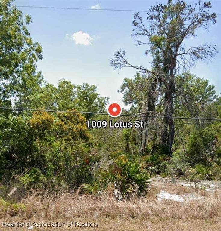 1009 Lotus Street - Photo 1