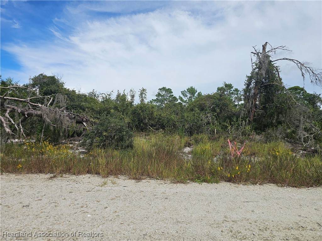 123 Patton Avenue - Photo 1