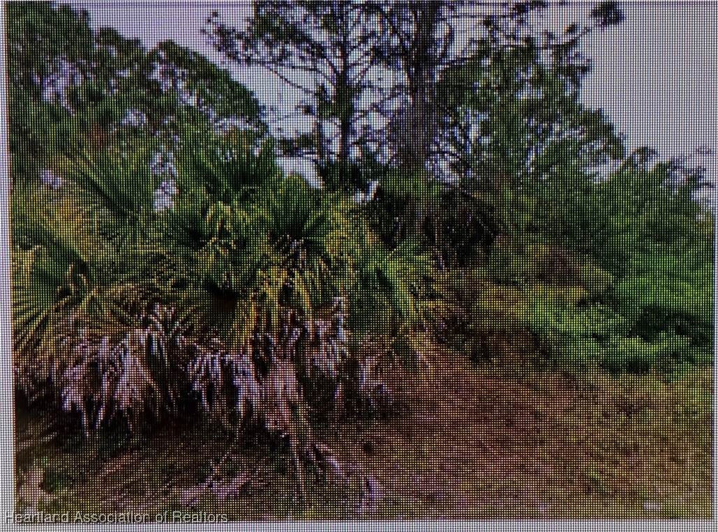 0 Taggard Road - Photo 1